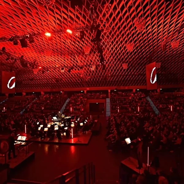 Fundamental Interactions Munster1