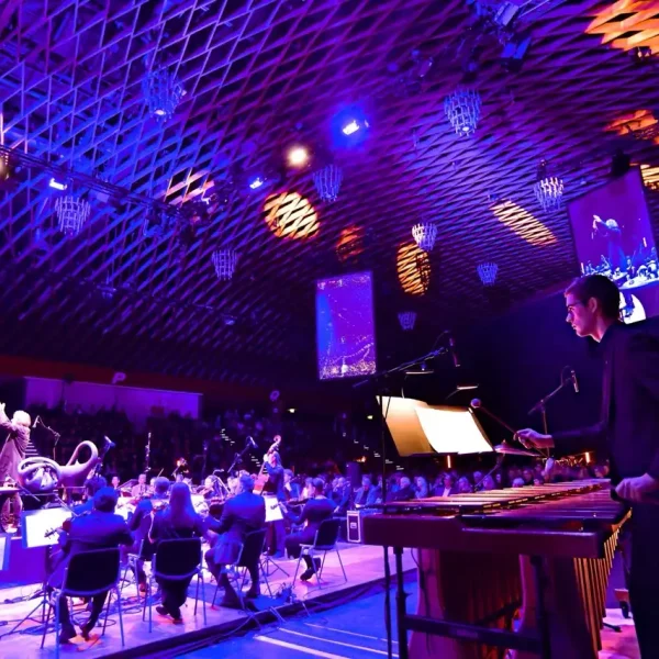 Fundamental Interactions Munster10