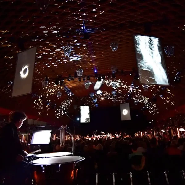 Fundamental Interactions Munster12