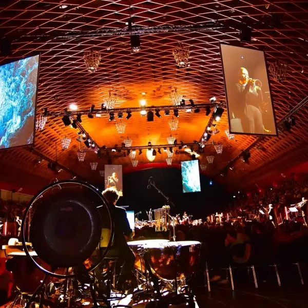 Fundamental Interactions Munster15