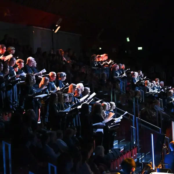 Fundamental Interactions Munster20