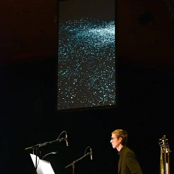 Fundamental Interactions Munster5